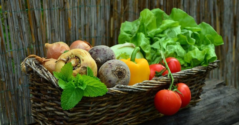 腸内環境改善ガイド⑩〜腸内環境に何故野菜が必要なのか？〜
