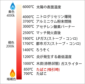 画像18