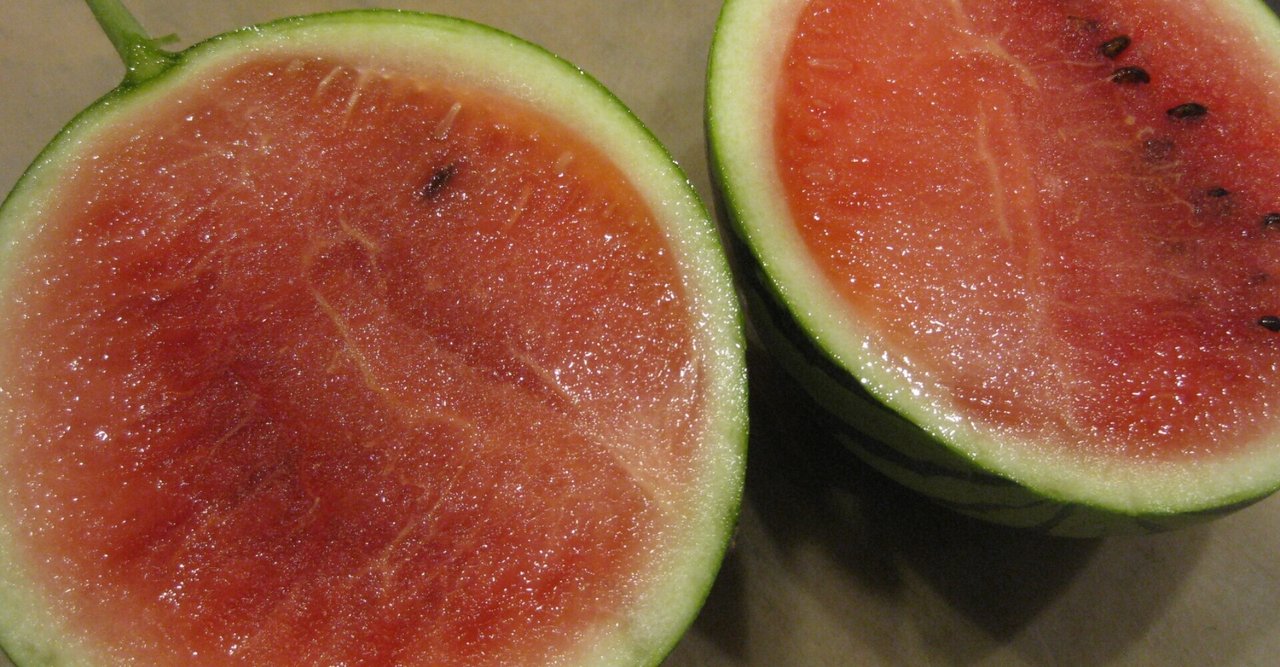 小玉スイカ の新着タグ記事一覧 Note つくる つながる とどける