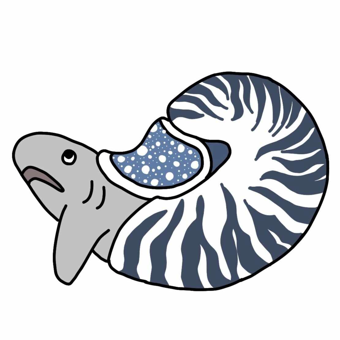 なのこ(しんかいのすがた)