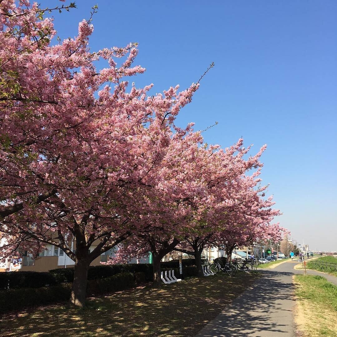 多摩川 かわさき多摩川ふれあいロード へなしゅん Note