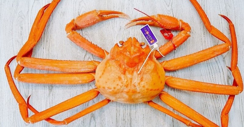 イソガニ の新着タグ記事一覧 Note つくる つながる とどける