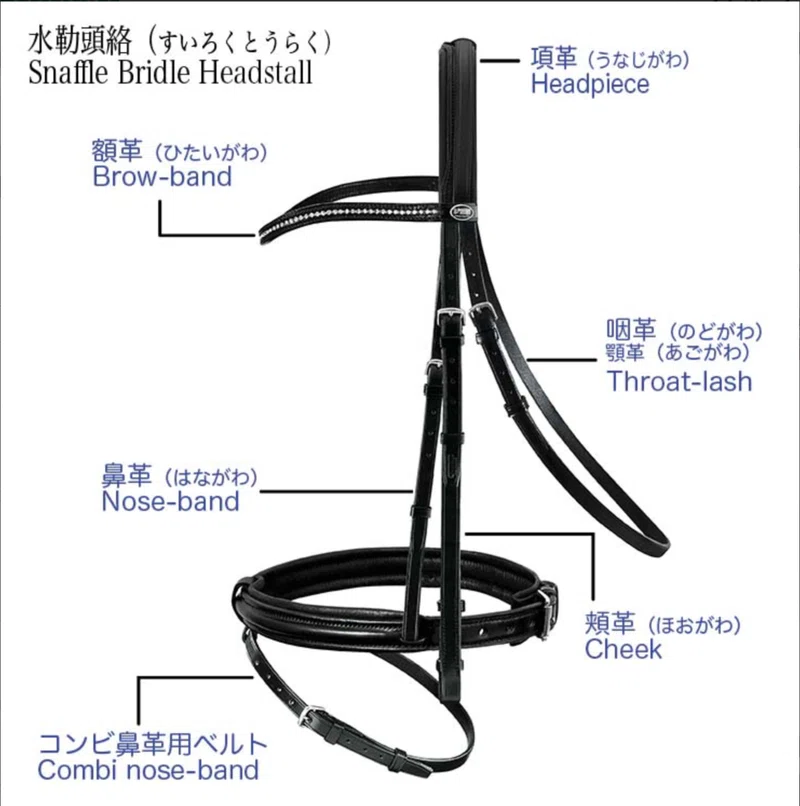 馬具の名前を覚えよう2〜顔周り編(頭絡など)〜|うまのこと