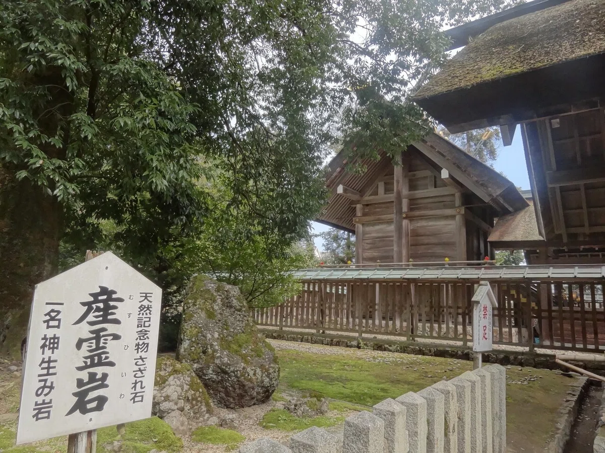 画像16