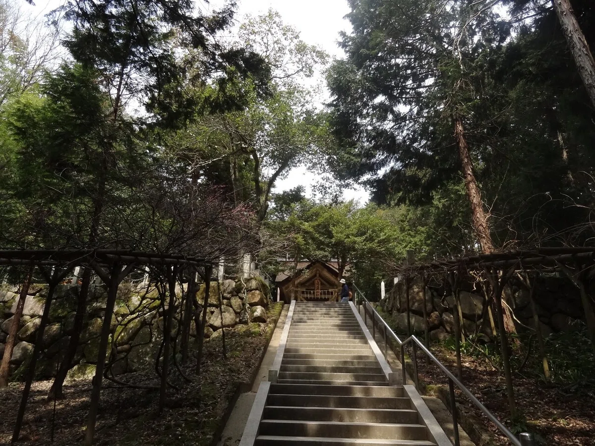 画像23