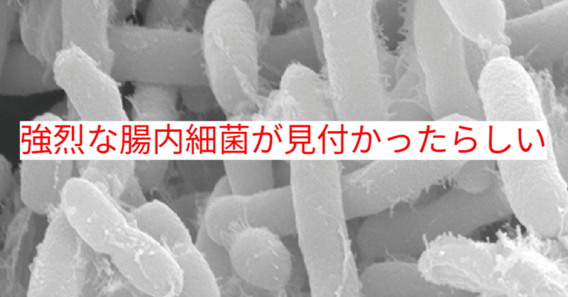 【noteで学ぶ腸内細菌38：『オドリバクター』という長寿菌】