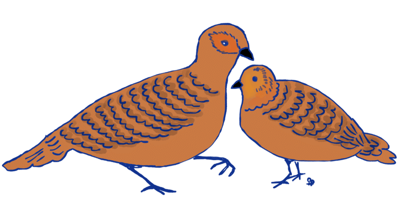 コザクラインコ の急上昇タグ記事一覧 Note つくる つながる とどける コザクラインコ の急上昇タグ記事一覧 Note つくる つながる とどける