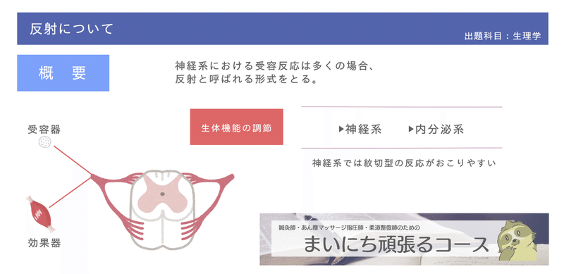 生理学 図解イラストとゴロで簡単 反射と反射弓 の覚え方 森元塾 国家試験対策 Note