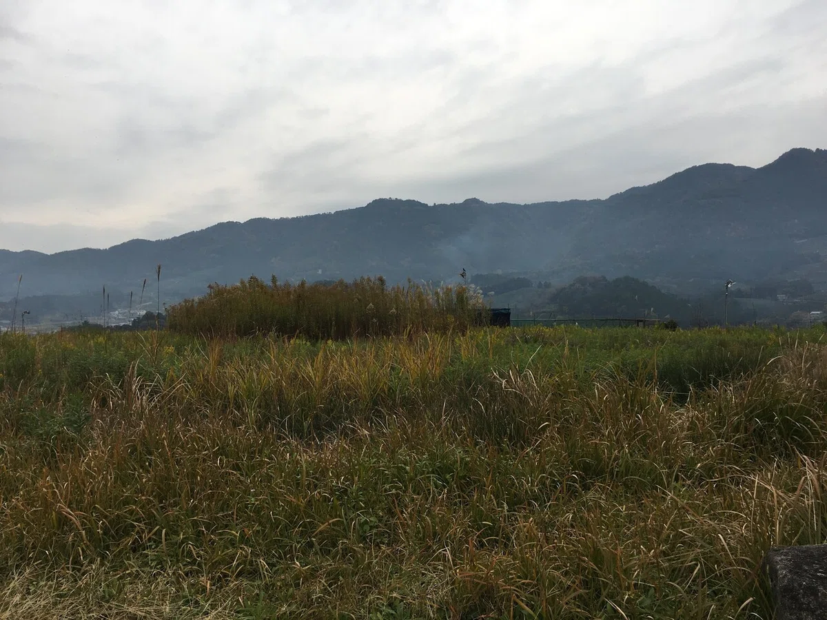 画像9
