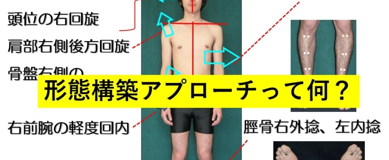 形態構築アプローチって何？｜からだ改善チャンネル