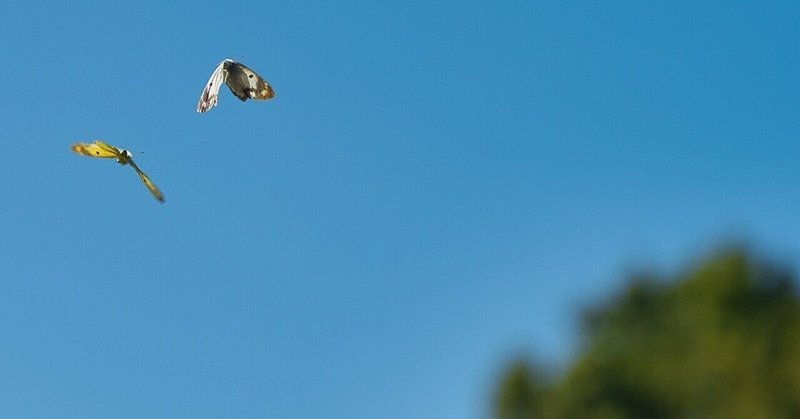 ワクチンとバカチン