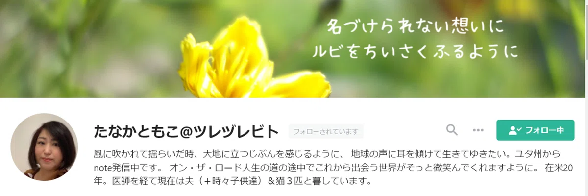 画像14