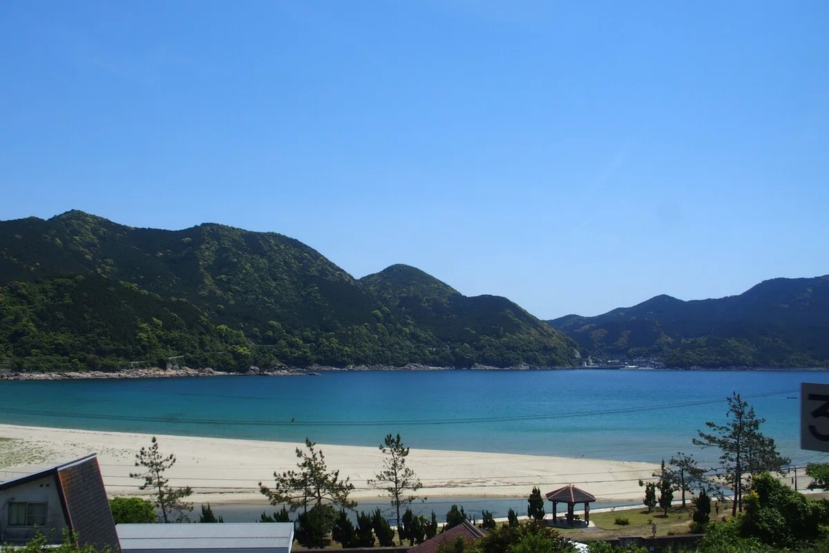 画像9