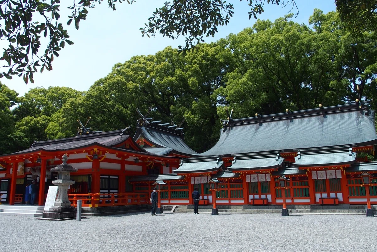 画像11