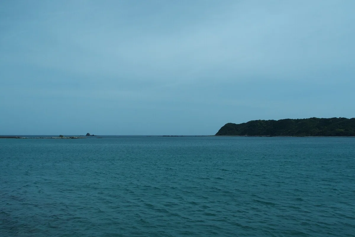 画像14