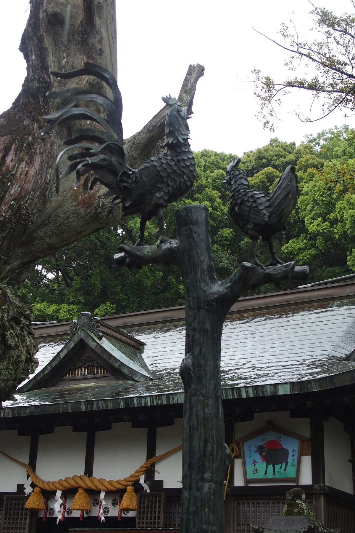 画像24