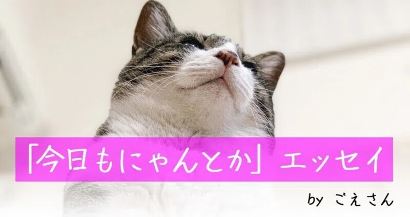 子守歌は音楽の赤ちゃん ごえさん Note