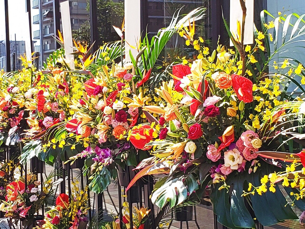 福岡の 祝い花 や 花輪 はおもろい ちゃっぴ そう妻から呼ばれている男 の いろいろ気になってること 美味しいもの ダイエットもの 妙なもの などなど Note 福岡の 祝い花 や 花輪 はおもろい ちゃっぴ そう妻から呼ばれている男 の いろいろ気になってること 美味しいもの ダイエットもの 妙なもの などなど Note