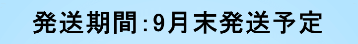 申し込み期間