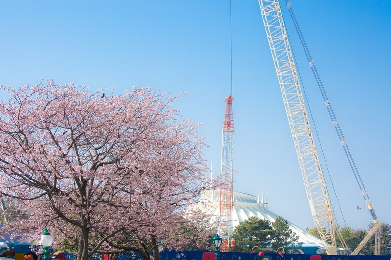 3 14インパログ 満開の桜とハピネスイズヒア 桜との撮影例 さっとん Jk撮影フォトグラファー Note