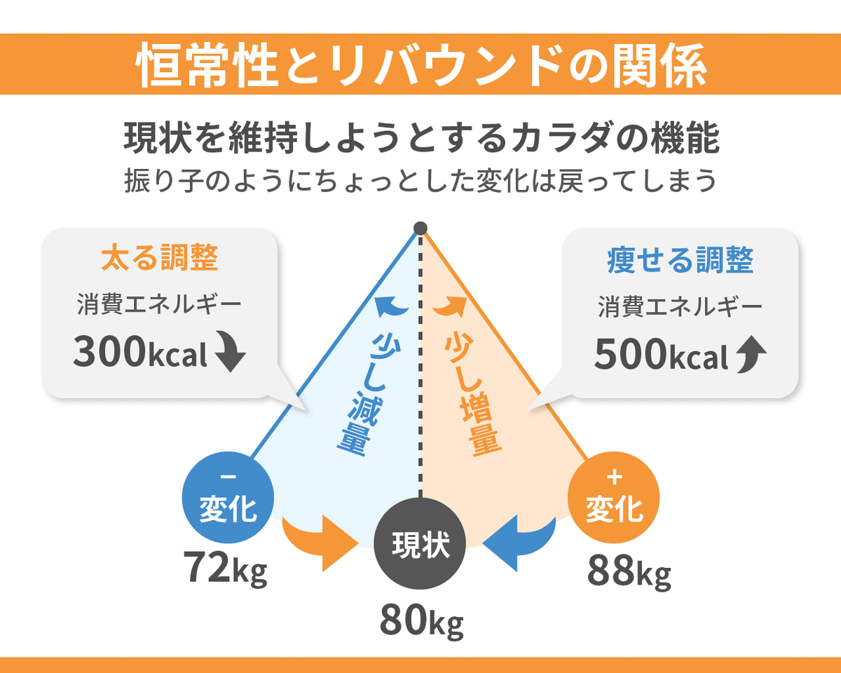 07_恒常性とリバウンド