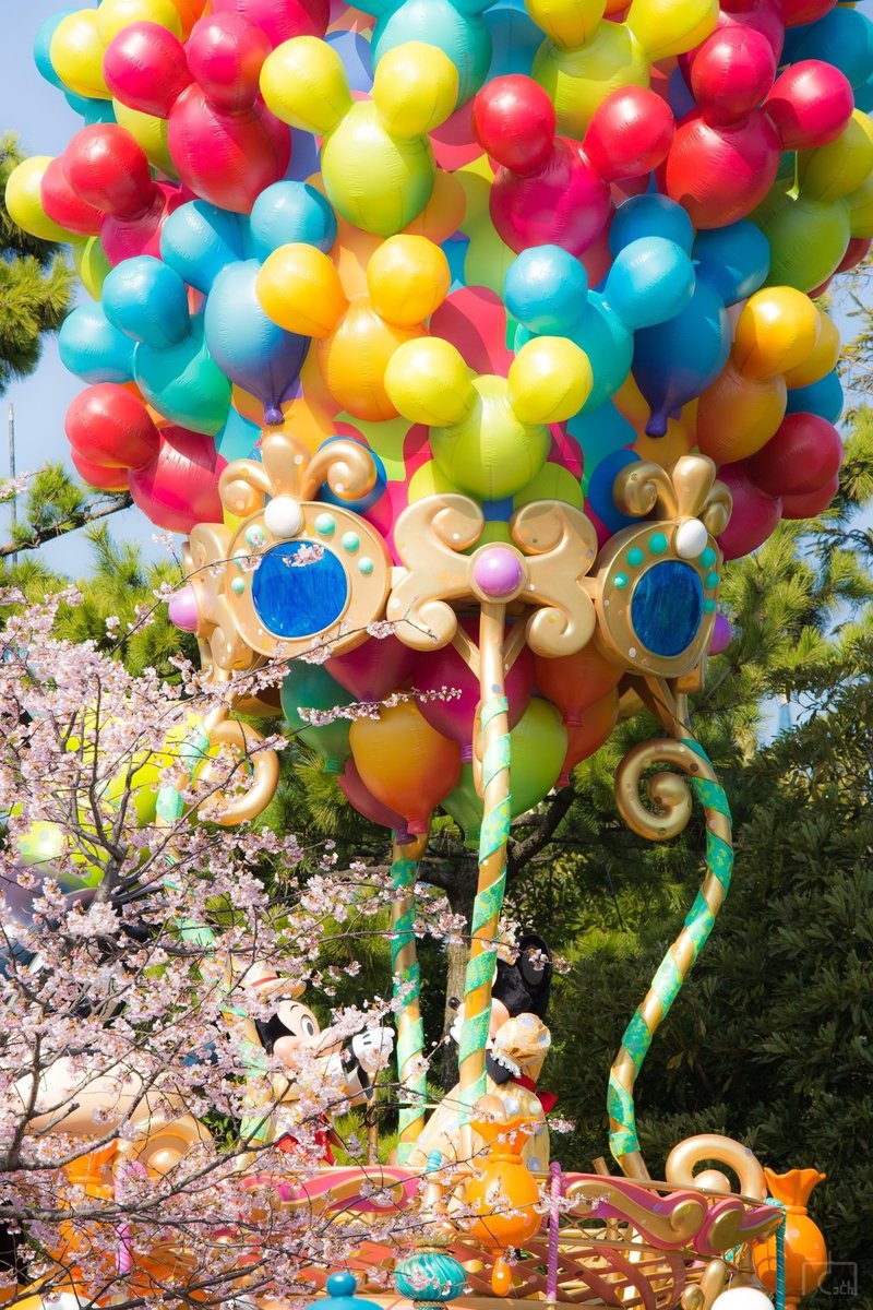 3 14インパログ 満開の桜とハピネスイズヒア 桜との撮影例 さっとん Jk撮影フォトグラファー Note 3 14インパログ 満開の桜とハピネスイズヒア 桜との撮影例 さっとん Jk撮影フォトグラファー Note