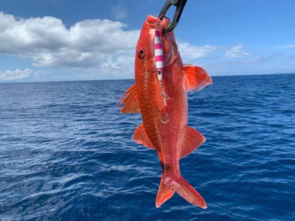 マニアフェローズ48 ディープライナー 【公式通販】