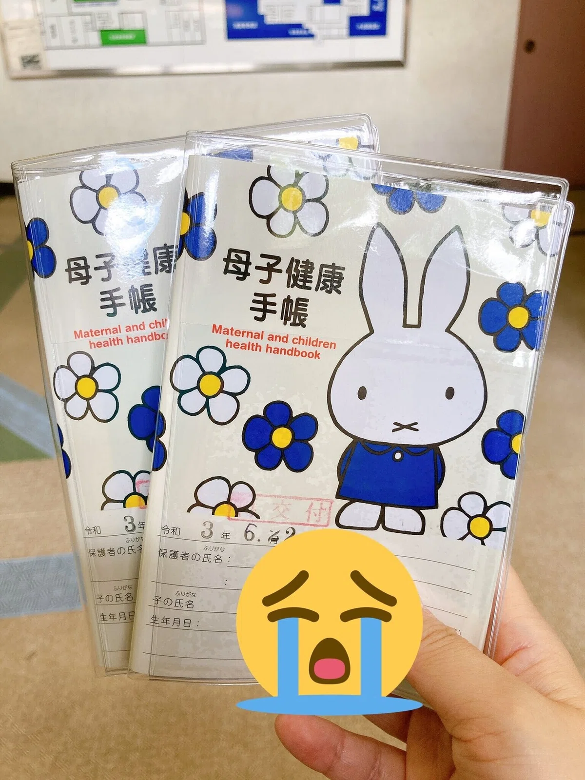 母子手帳を紛失したので再発行してみた。｜アケガワ カヨ