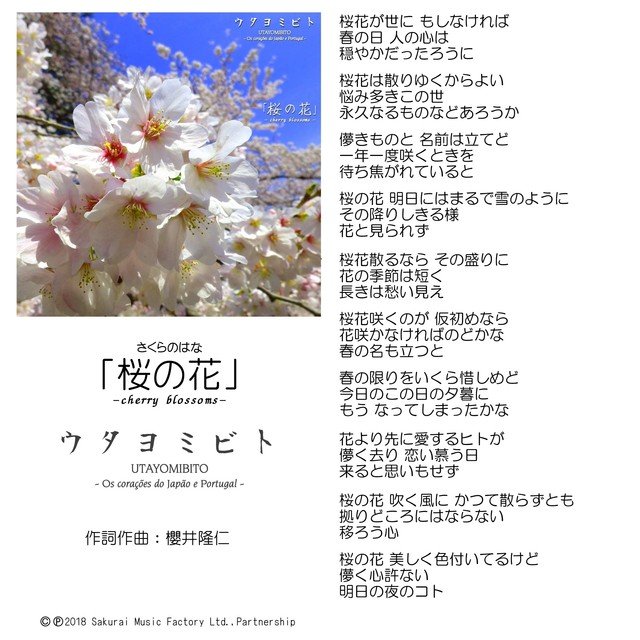 桜の花lyrics