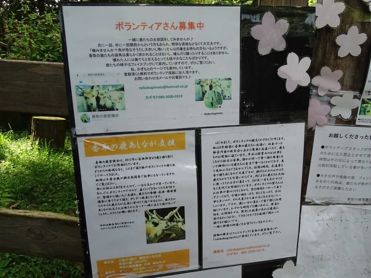 画像22