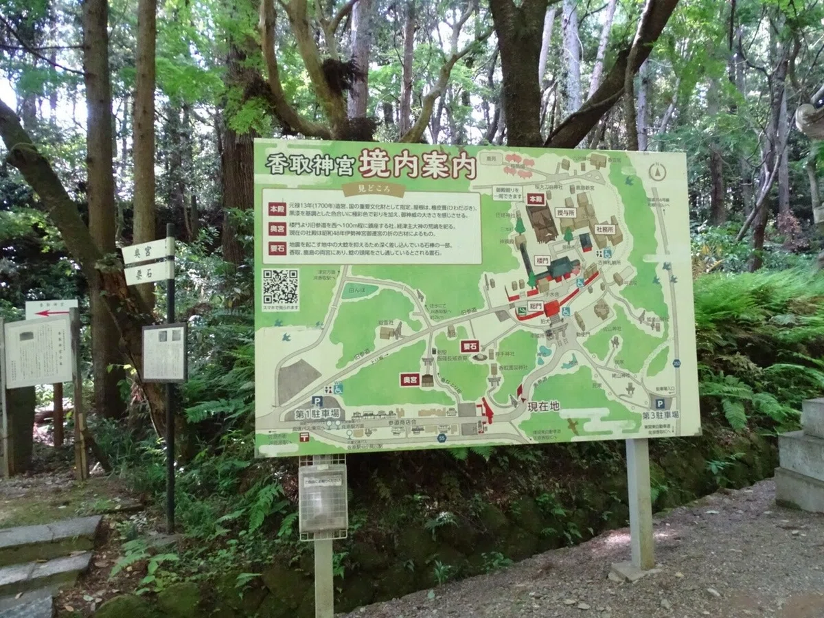 画像9