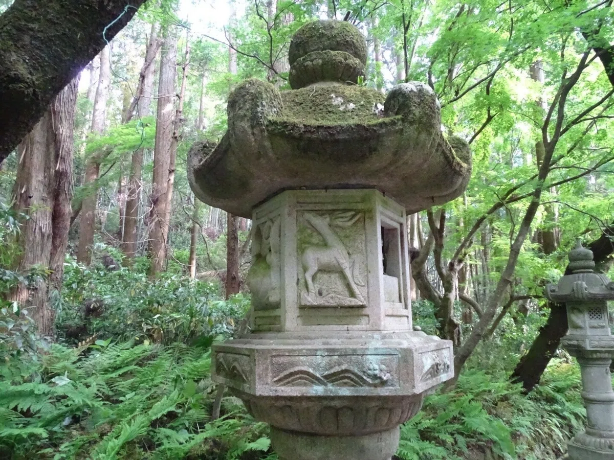 画像5