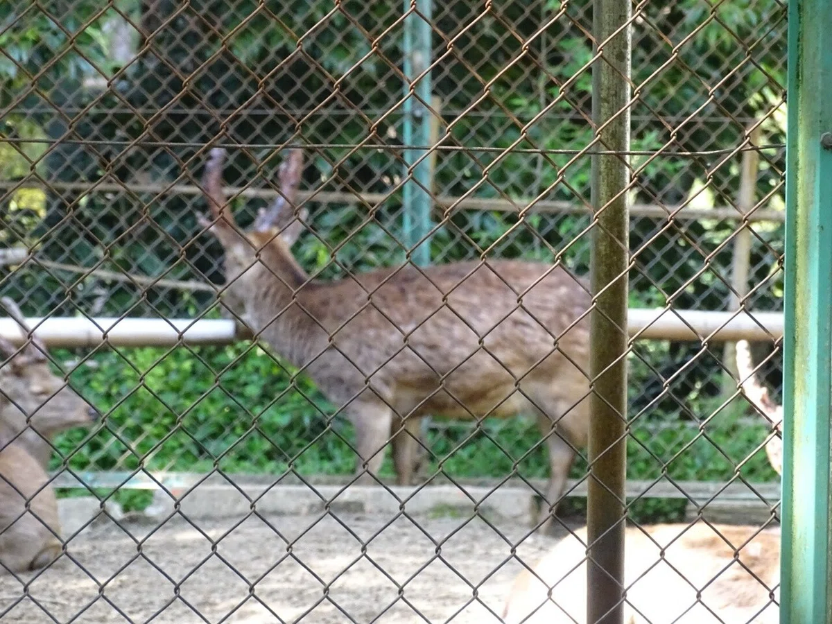 画像29