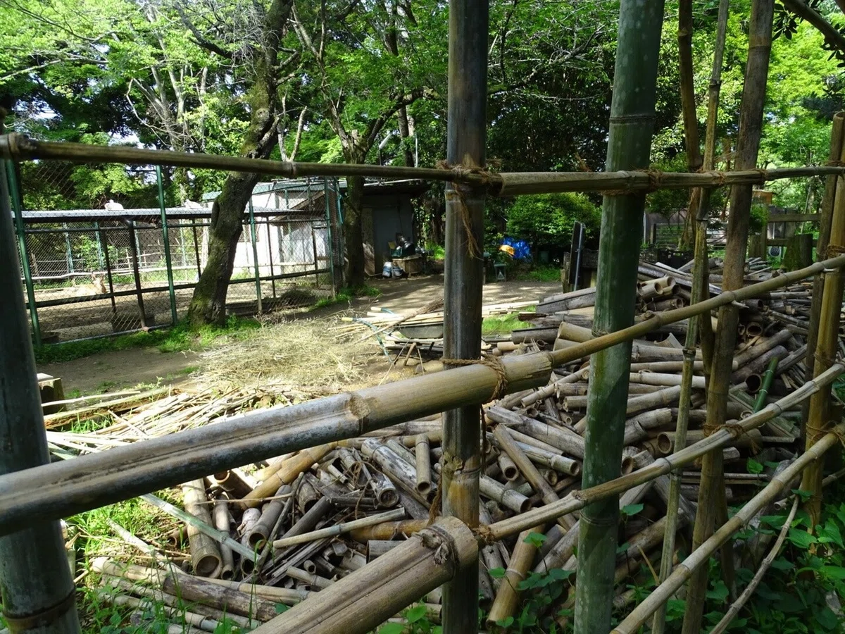 画像37