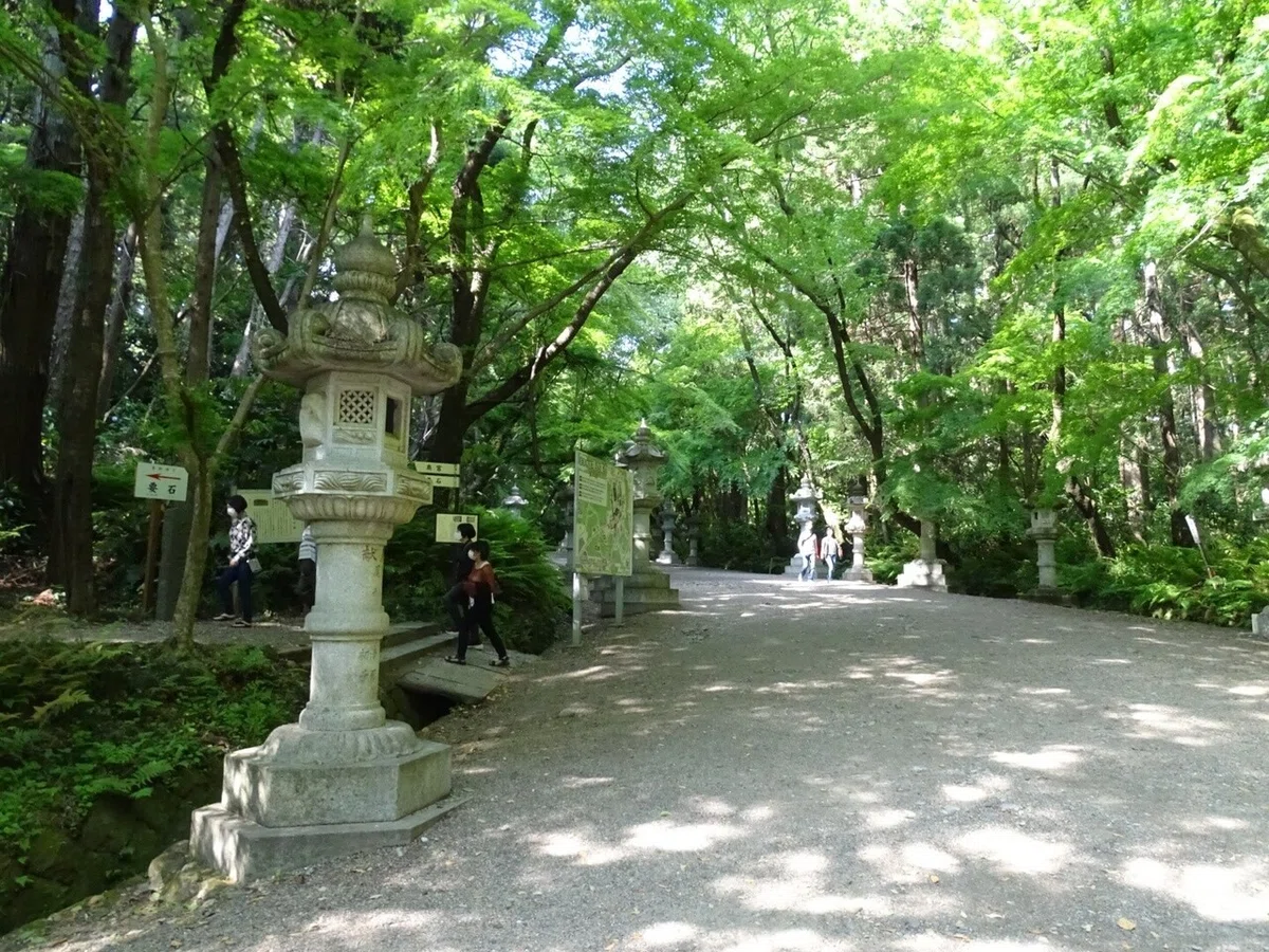 画像8