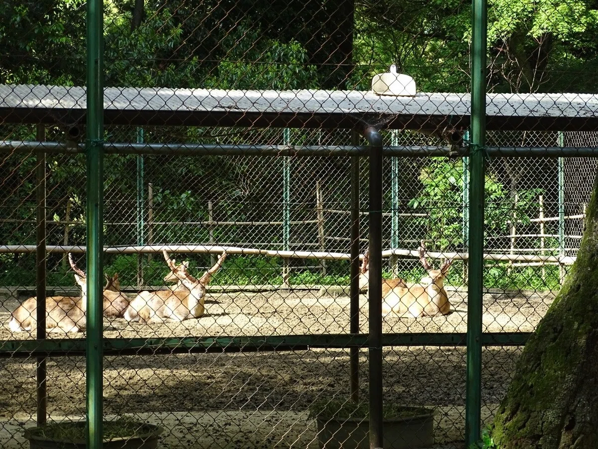 画像28