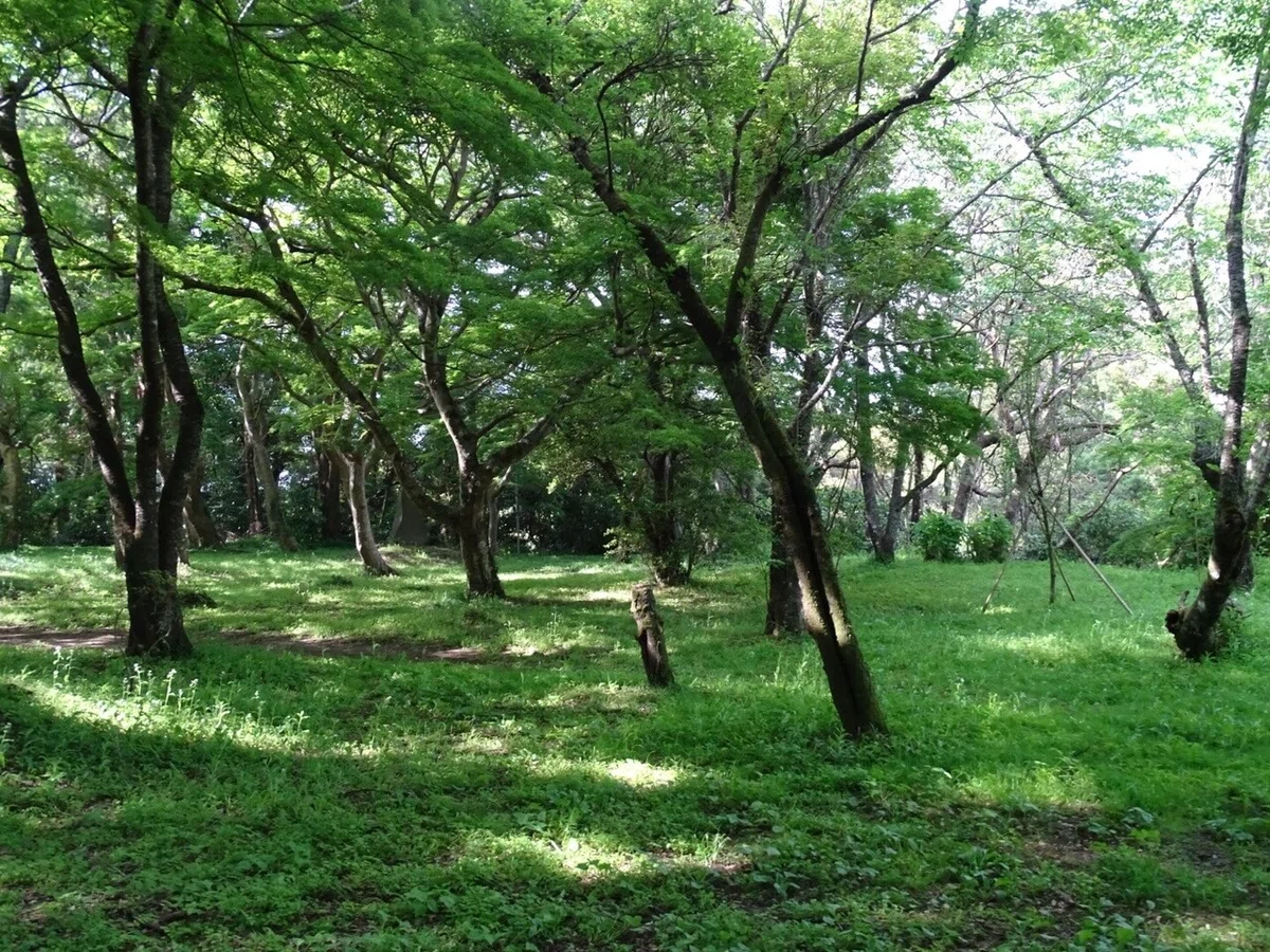 画像19