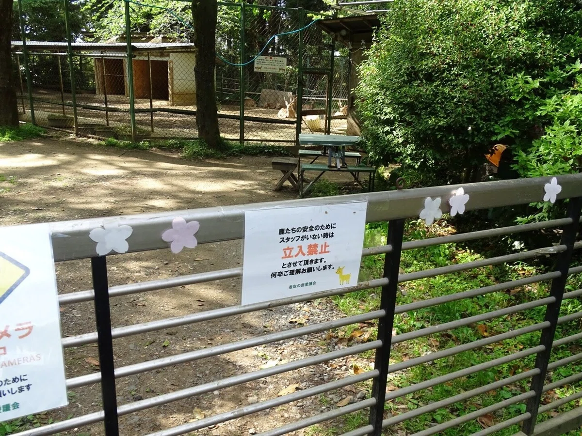画像23