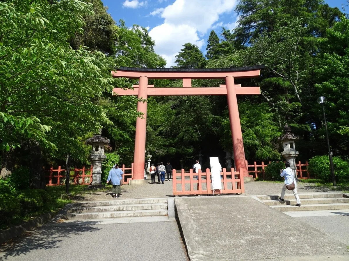 画像7