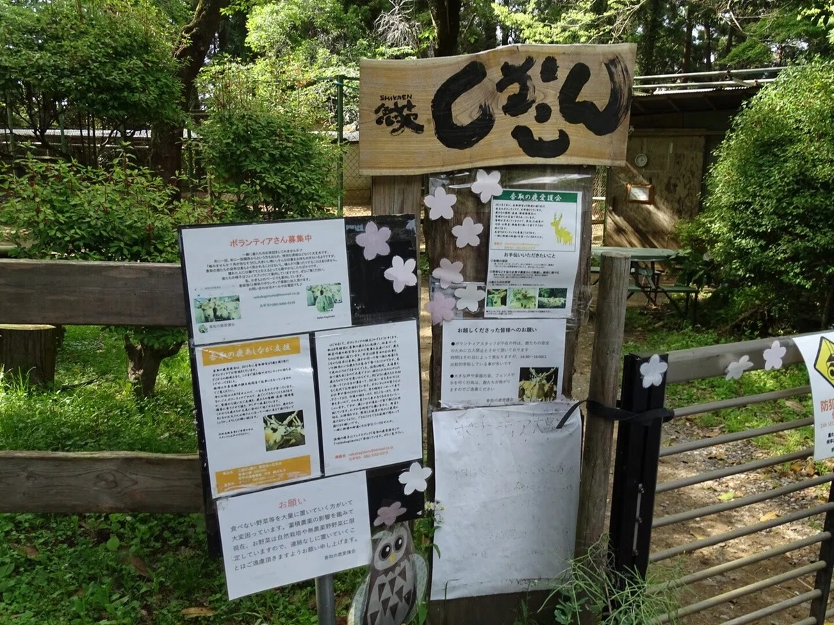 画像21