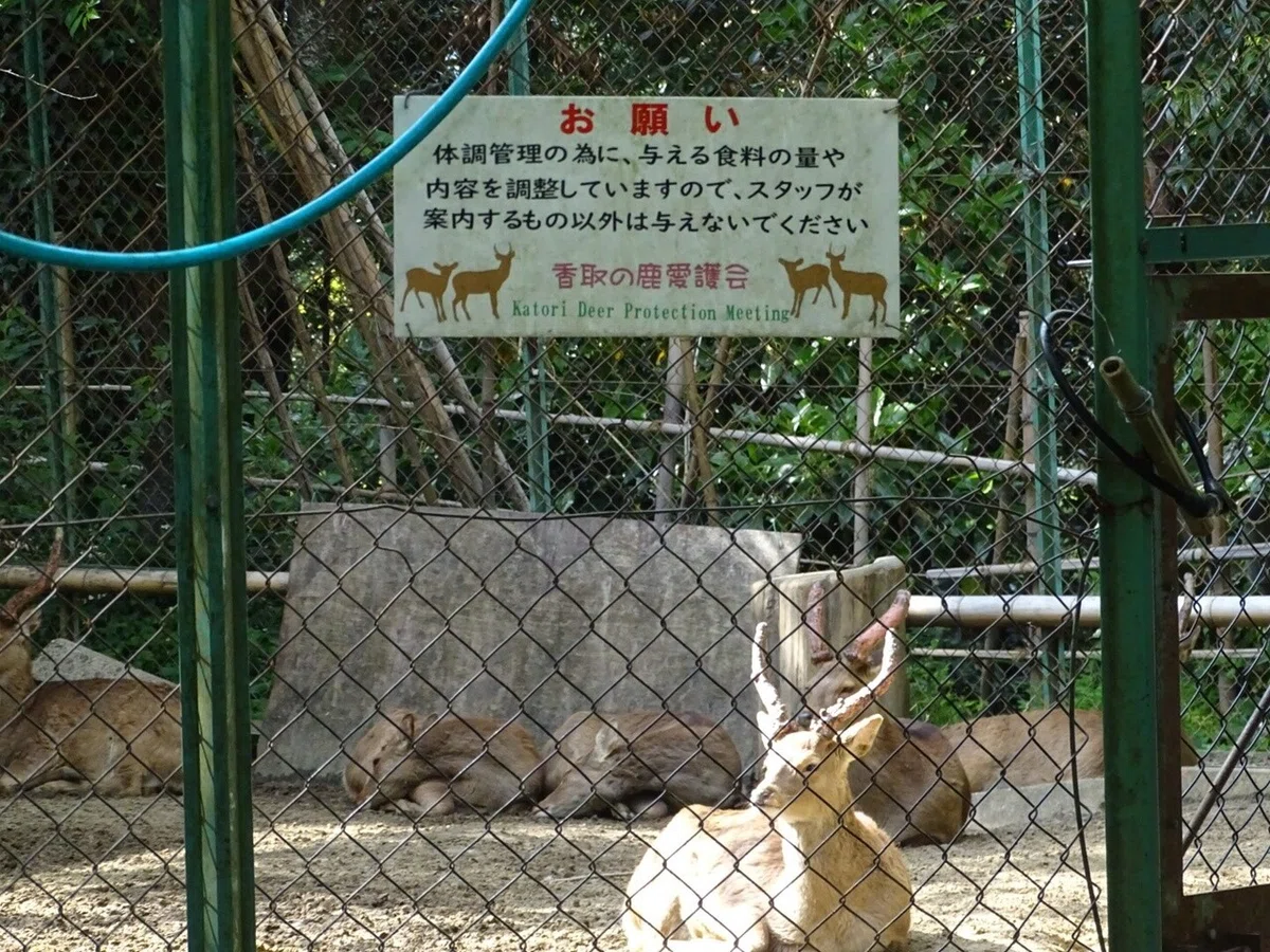 画像24