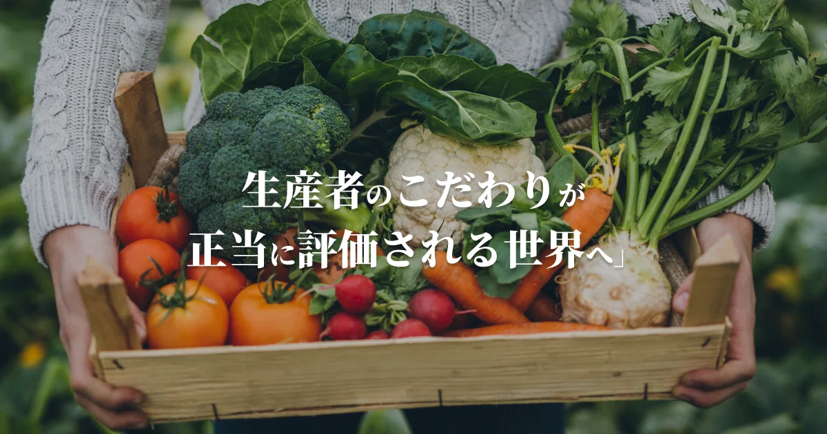 画像14
