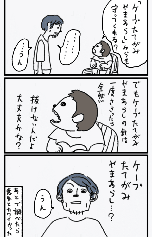 ケープたてがみやまあらし_005