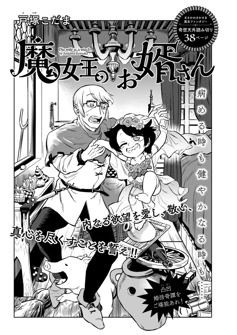青騎士 第3b巻作品紹介 魔女王のお婿さん 戸塚こだま 青騎士 Note