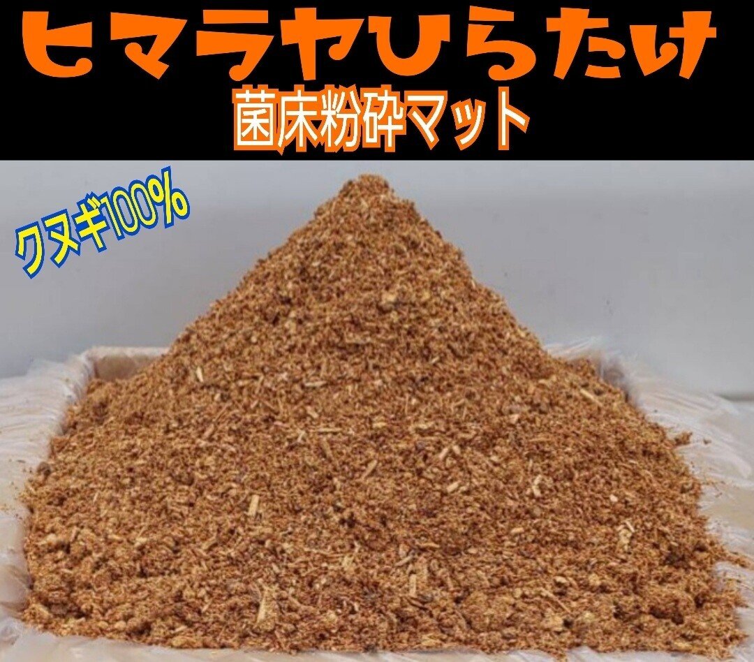ヒマラヤひらたけ発酵マット|iketeru_1130 ヒマラヤひらたけ発酵マット|iketeru_1130