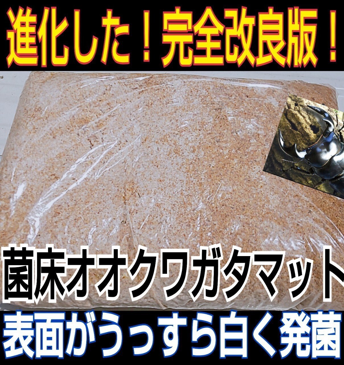 ヒマラヤひらたけ発酵マット|iketeru_1130 ヒマラヤひらたけ発酵マット|iketeru_1130