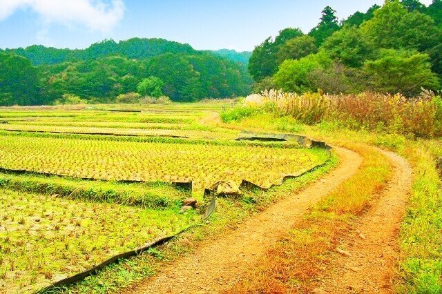 里山