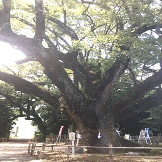 トップに移動