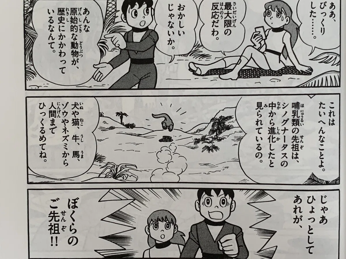 画像6