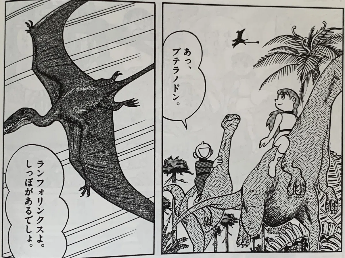 画像7